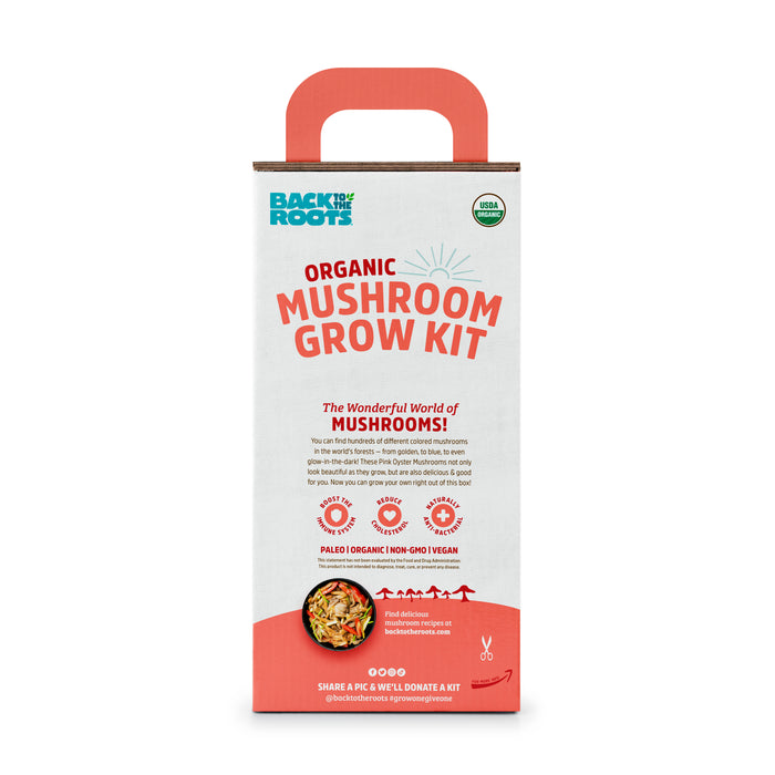 Front view of a Back to the Roots Organic Mushroom Grow Kit - Pink Oyster box. The white and orange packaging, with a handle, highlights Non-GMO mushrooms and showcases gourmet pink oyster mushrooms at the bottom.