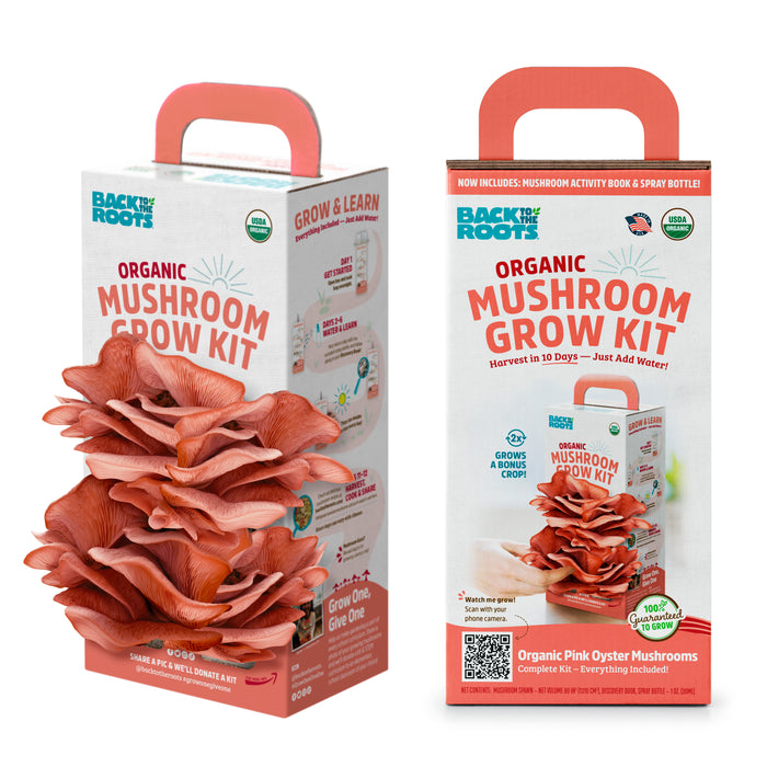 Two boxes of the Back to the Roots Organic Mushroom Grow Kit - Pink Oyster are shown, each filled with vibrant pink oyster mushrooms. The text emphasizes easy indoor cultivation of organic mushrooms in just 10 days.