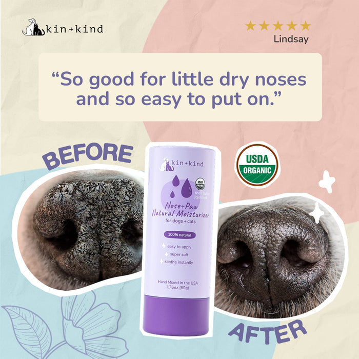 Side-by-side comparison of a dogs nose Before and After using kin+kind Organic Nose & Paw Moisturizer Stick for Dogs & Cats. The purple bottle, marked USDA Organic, showcases the benefits with organic ingredients. A review states, Great for dry noses and easy to apply. Perfect for natural pet care.
