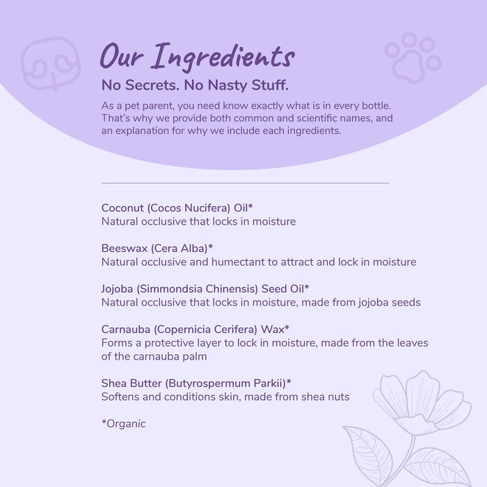 A purple-themed graphic titled Our Ingredients highlights USDA-organic components—Coconut Oil, Beeswax, Jojoba Seed Oil, Carnauba Wax, and Shea Butter—for kin+kind’s Organic Nose & Paw Moisturizer Stick for Dogs & Cats. Botanical illustrations and a paw print emphasize our dedication to transparent natural pet care.