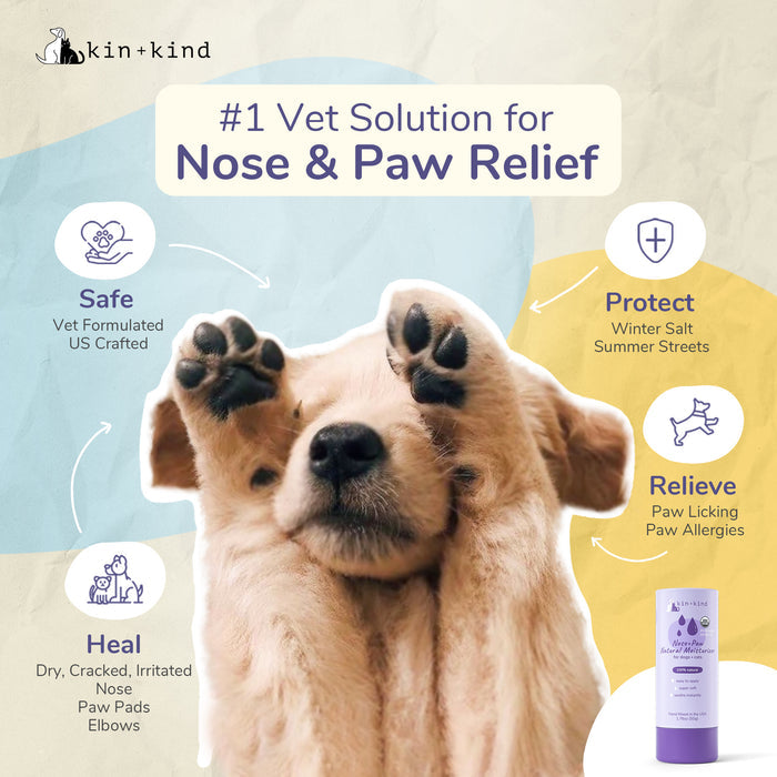 A golden retriever covers its eyes with its paws, highlighting the benefits of kin+kinds Organic Nose & Paw Moisturizer Stick for Dogs & Cats. This vet-formulated product protects from harsh conditions, relieves allergies, and heals dry or cracked areas. Product image included.