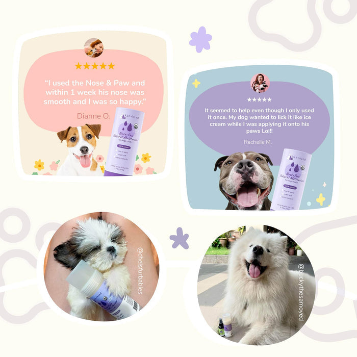 Two review cards feature dogs with kin+kinds Organic Nose & Paw Moisturizer Stick for Dogs & Cats: a happy puppy enjoying USDA-organic smoothening effects and another smiling dog noted for licking. Below, two pups hold the stick in their mouths, ideal for natural pet care.