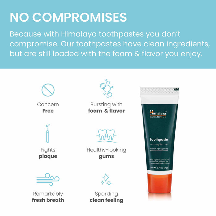 A promotional image for Himalaya Botanique Toothpaste. The text states the toothpaste has clean ingredients, foam and flavor, fights plaque, leads to healthy gums, fresh breath, and sparkling teeth. The toothpaste tube is shown alongside seven icons representing these benefits.