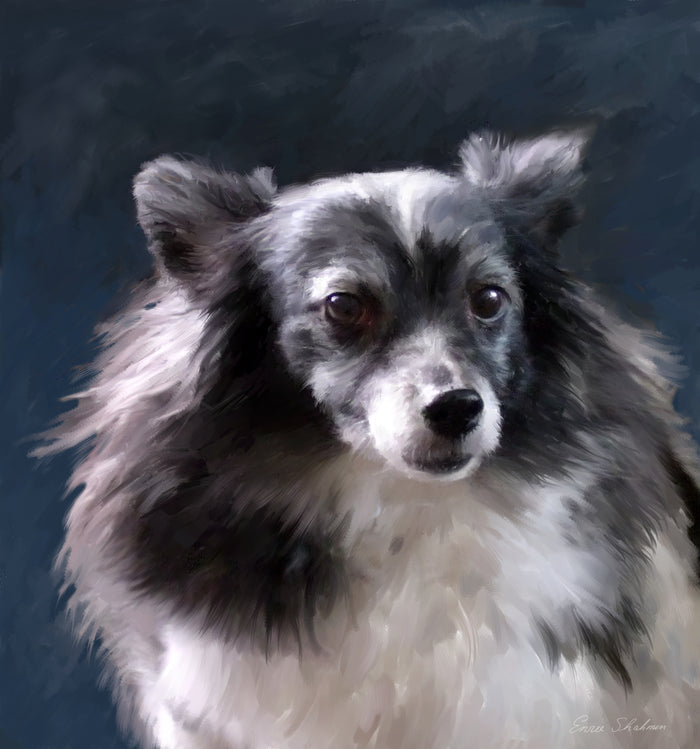 Papillon Custom Painted Dog Portrait