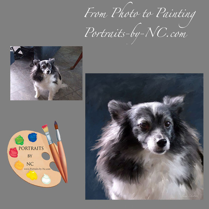 Papillion Dog Portrait from Photo 284