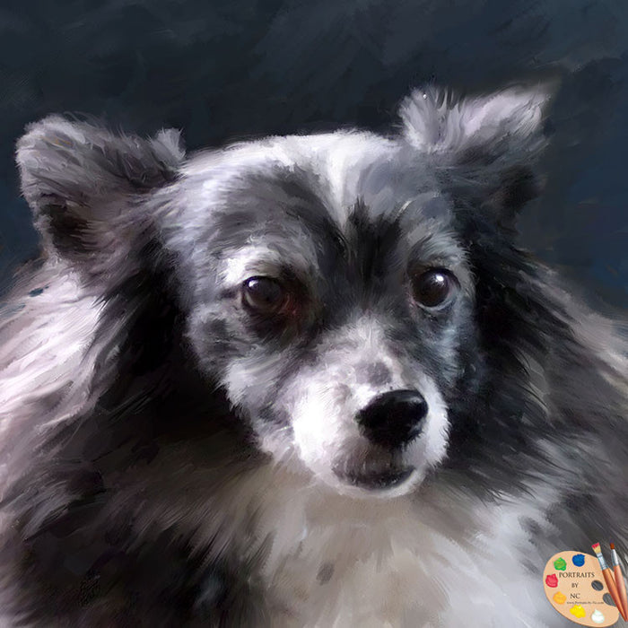 Papillion Dog Portrait 284