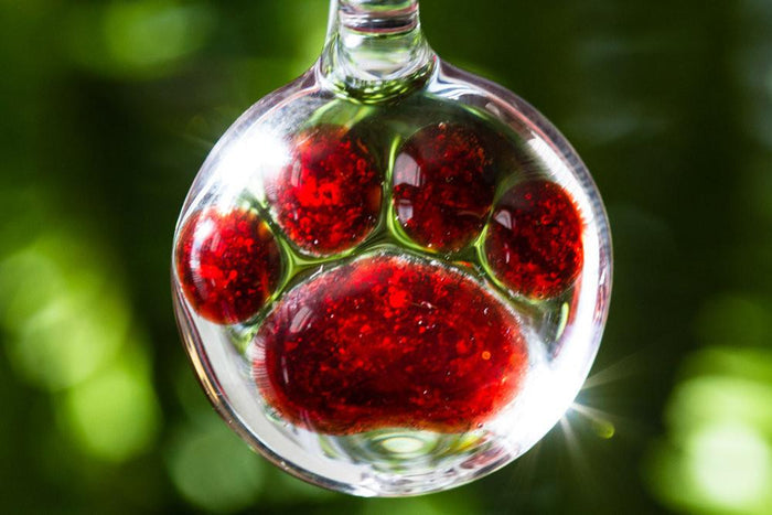 Paw print glass pendant infused with cremains in red tones against a green blurred background