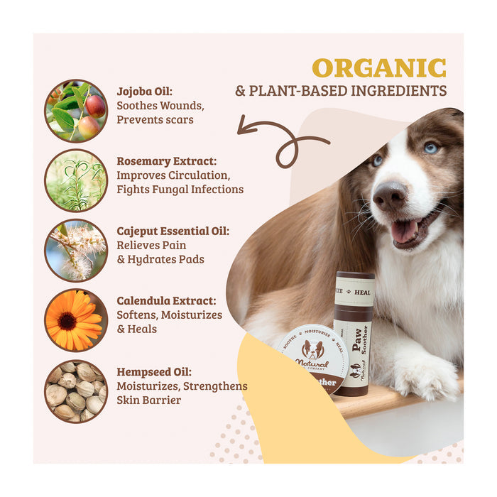 An image featuring a dog with a bottle of moisturizing paw butter. On the left, illustrations of ingredients: jojoba oil, rosemary extract, cajeput essential oil, calendula extract, and hempseed oil, each with a brief description of their benefits.