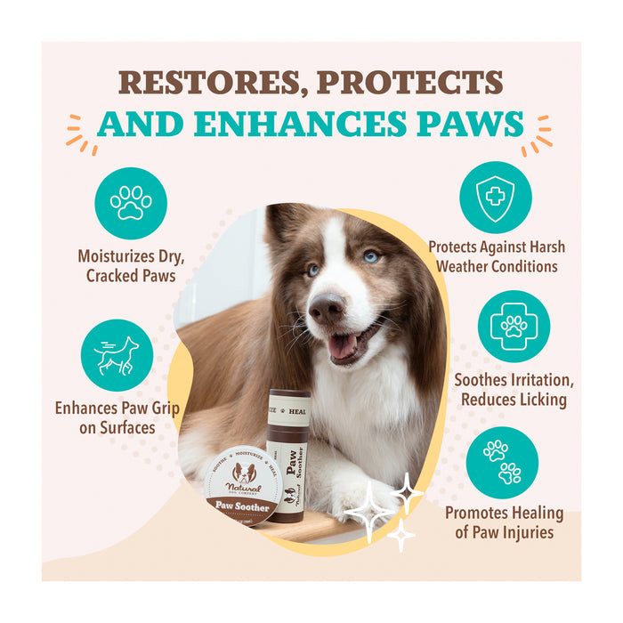 A happy dog is next to a jar of paw soother cream. Benefits listed around the image include moisturizing dry paws, enhancing grip, protecting against weather, soothing irritation, and promoting healing. The text highlights paw care.