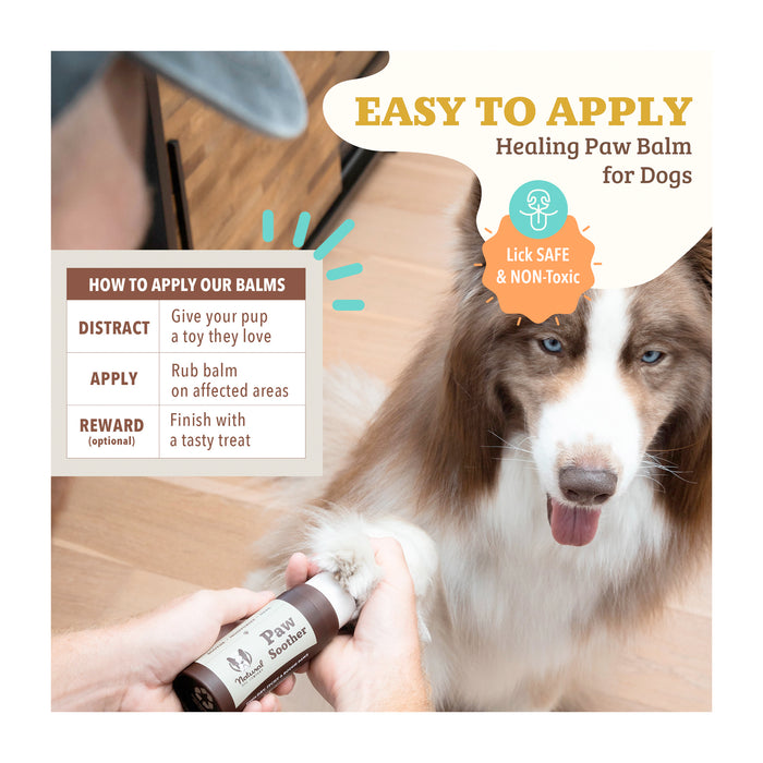 A person applies healing paw balm to a dog's paw. The image includes instructions: distract with a toy, rub balm on affected areas, and reward with a treat. The balm is labeled as lick safe and non-toxic.