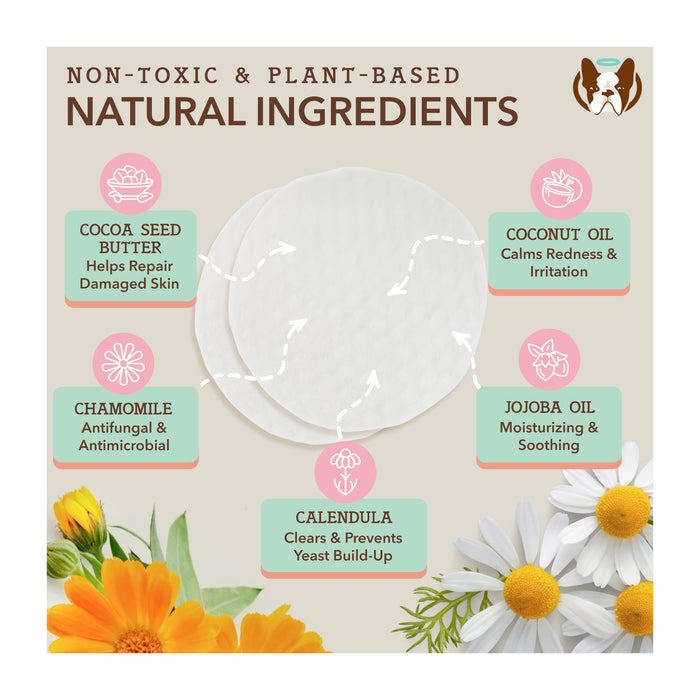 Illustration of natural skincare ingredients on a textured background. Includes icons for cocoa seed butter, coconut oil, chamomile, jojoba oil, and calendula, each with benefits explained. Accompanied by images of chamomile flowers and calendula.
