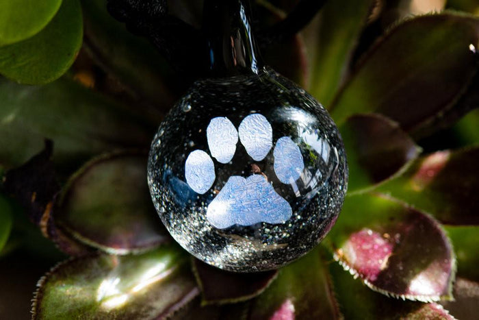 Glass pendant containing a holographic blue paw print and cremation ash, suspended from an adjustable cord