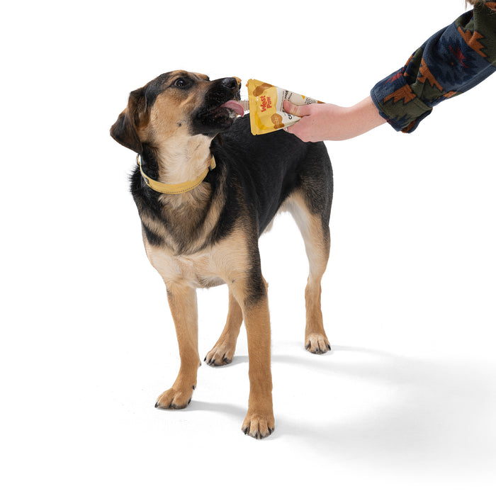 A black and brown dog with a yellow collar stands on a white background, eagerly licking a West Paw Peanut Butter Banana Creamy Dog Treat held by someone in a patterned sleeve.