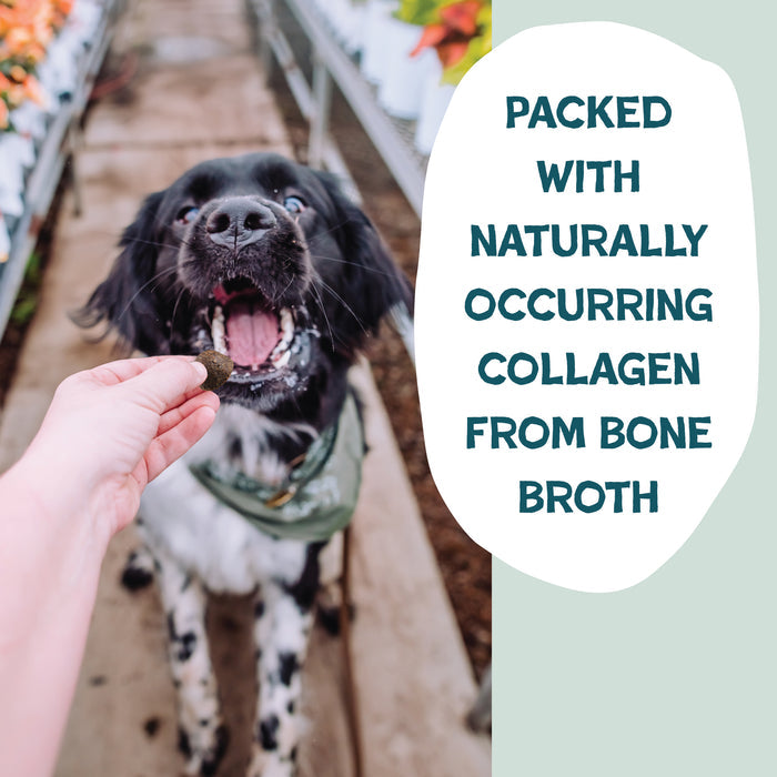 A black and white dog eagerly opens its mouth for a Shameless Pets Peanut Butter Bliss Bone Broth Training Treat. Text on the right reads: Packed with naturally occurring collagen from bone broth.