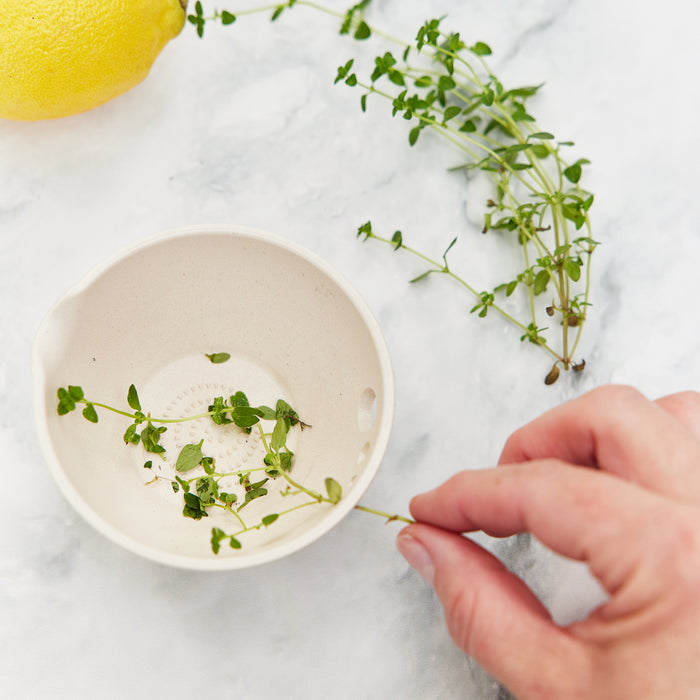 A hand holds a sprig of fresh thyme over Modern Sprouts Peel, Grate & Prep Dish, ready to enhance any dish. A partially visible lemon in the top left corner hints at zest preparation on a light, textured surface.