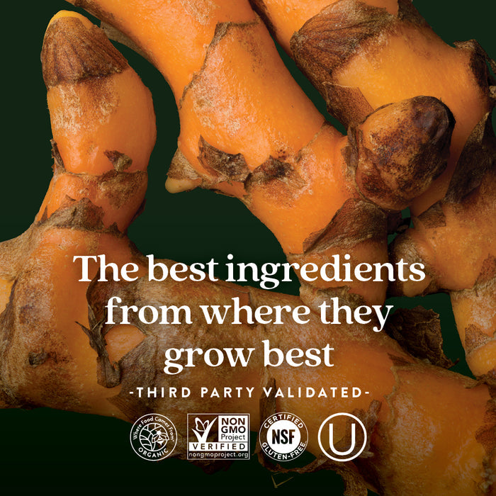 Turmeric roots on a dark green background with the text: Perfect Energy™ Multivitamin by New Chapter—made with the best ingredients for energy support, including B12, B6 & D3. Third-party validated. Certification logos appear at the bottom.