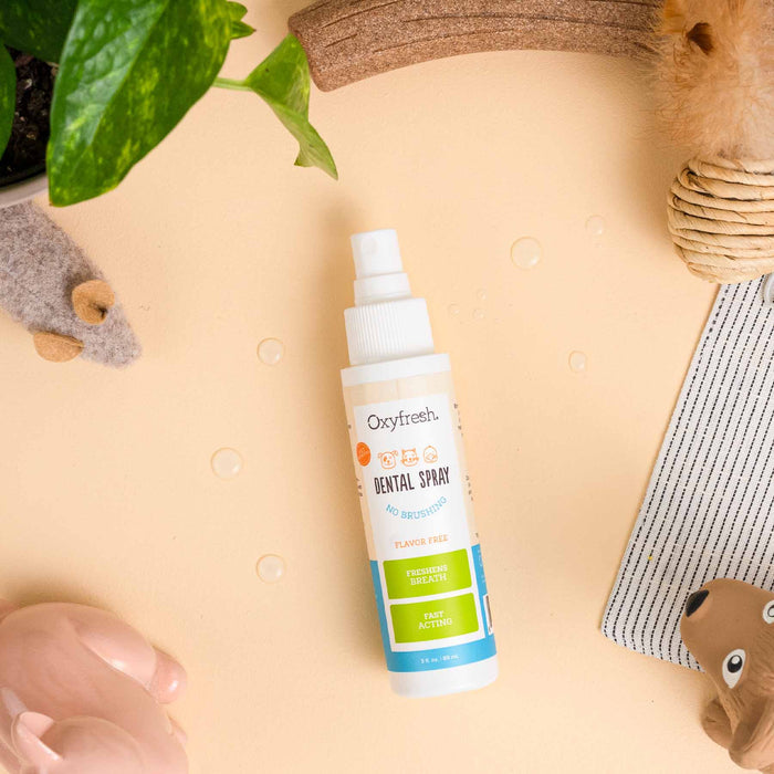A bottle of Oxyfresh Pet Bad Breath Fast Acting Dental Spray, veterinarian-approved for pet dental care, sits on a beige surface. Its surrounded by a green plant, a pink ceramic pig, a stuffed toy, and a textured mat with water droplets scattered around.