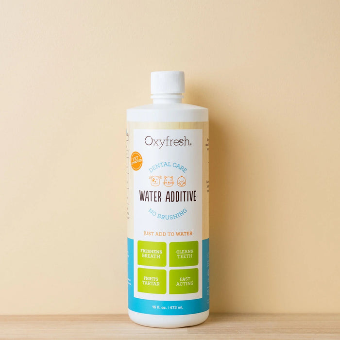 A 16 oz bottle of Oxyfresh Pet Water Additive ensures superior dental care by freshening bad pet breath, cleaning teeth, and tackling tartar and plaque. The bottle is showcased against a light beige background.
