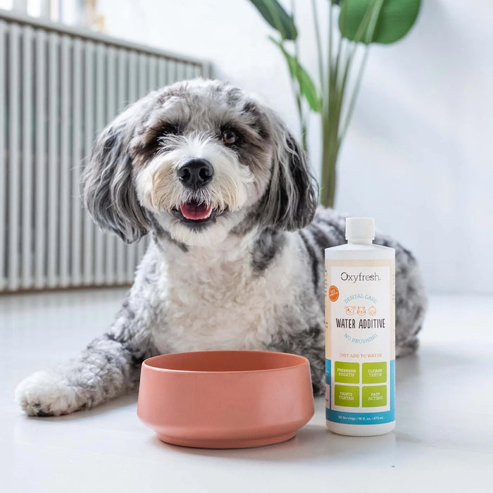 A fluffy gray and white dog sits happily on a white floor beside a terracotta bowl and an Oxyfresh Pet Water Additive bottle, ideal for tartar and plaque, with a plant and radiator in the background.