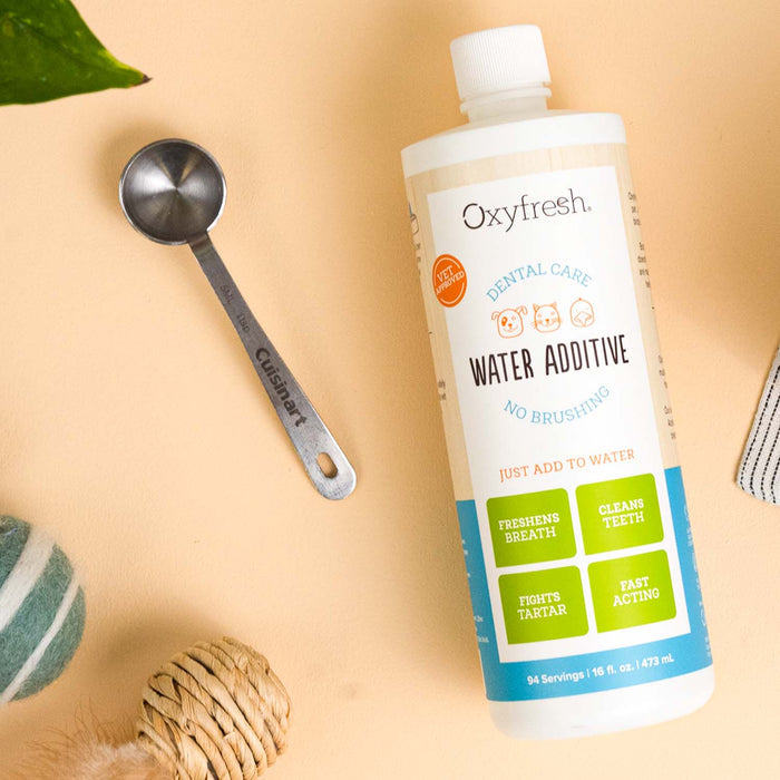 An Oxyfresh Pet Water Additive bottle sits on a beige surface by a metal measuring spoon. It promises to freshen pet breath, clean teeth, and fight tartar and plaque. A striped ball and a partially visible plant are nearby.