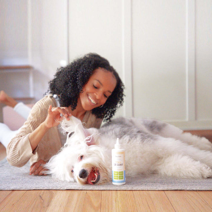 A woman with curly hair joyfully plays with a white fluffy dog lying on a rug. In the foreground, an Oxyfresh Pet Ear Cleaner Yeast-Fighting Ear Wash bottle subtly blends into the warm and playful atmosphere.