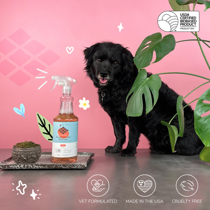 A black dog sits on a gray surface next to a clear spray bottle labeled Pet Pee + Stain + Odor Remover Multi-Surface Spray by kin+kind, with naturally derived zinc salt. The pink backdrop includes decorative plant leaves, while icons below emphasize vet formulation, USA-made quality, and cruelty-free assurance.