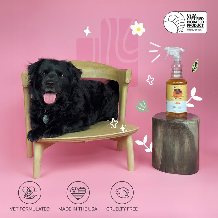 A black dog sits on a wooden chair with a pink backdrop. A bottle of kin+kinds Pet Pee + Stain + Odor Remover Spray for Hardwood Floor rests on a stump nearby, boasting vet-formulated, USA-made, cruelty-free credentials. Its a USDA-certified biobased product that eliminates odors using plant technology.