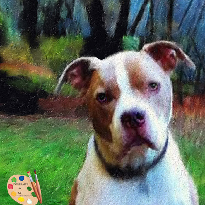 Pit Bull Dog Portrait 348