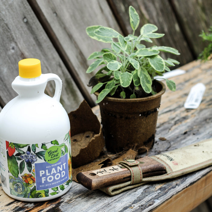 A potted plant rests on a weathered bench with a bottle of Good Dirt Plant Food, offering a chemical-free boost. Nearby, a sheathed gardening tool complements the serene outdoor scene, hinting at sustainability.
