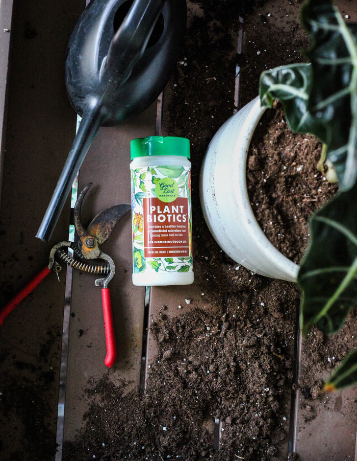 Gardening tools and a container of Good Dirts PlantBiotic Indoor/Outdoor Nutrient Boost sit on a wooden surface with scattered soil. Nearby, a white pot filled with soil is ready for planting, suggesting enhanced root growth and nutrient uptake, ideal for gardening preparations.
