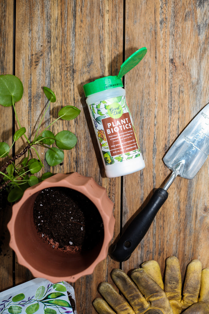 Gardening tools on wooden surface: plant container with soil, trowel, gloves, and a Good Dirt PlantBiotic Indoor/Outdoor Nutrient Boost with green lid, surrounded by plant leaves to enhance root development.