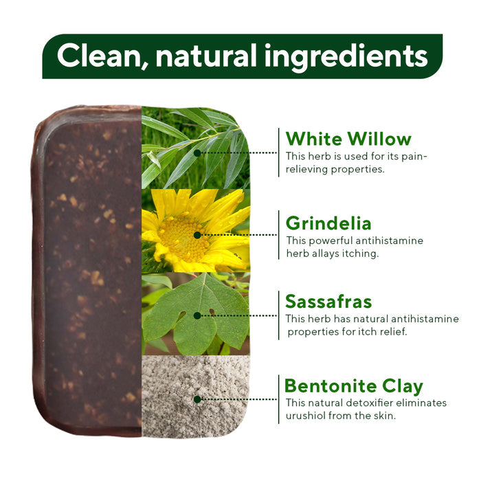 Marie Originals Poison Ivy & Oak Relief Soap is divided into four sections, each with a key ingredient—white willow, grindelia, sassafras, or bentonite clay—for clean, natural poison ivy relief.