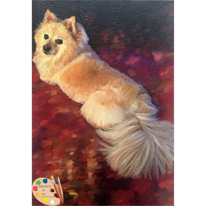 Pomeranian Dog Painting 496