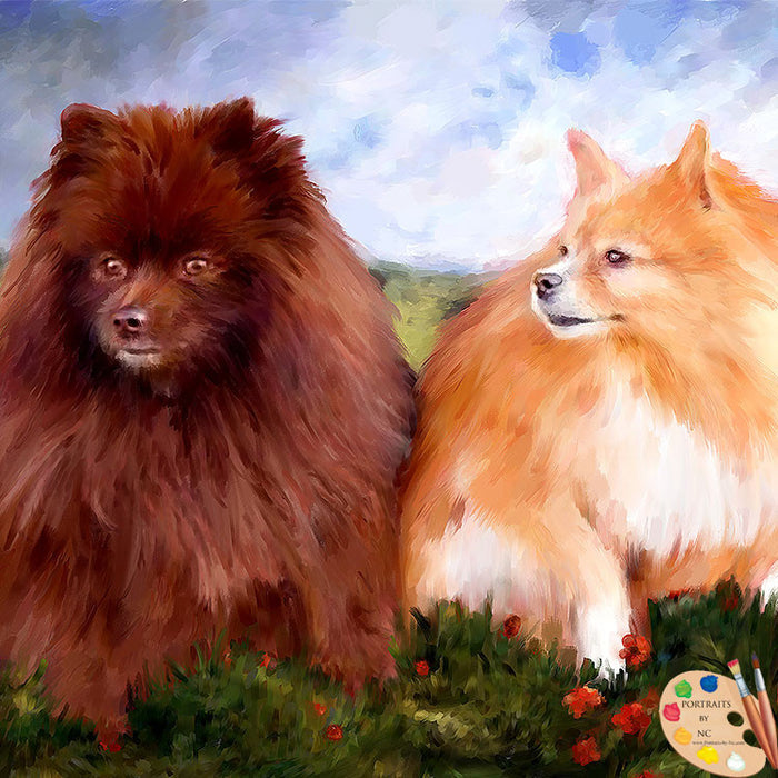 Pomeranians Dog Portrait 507
