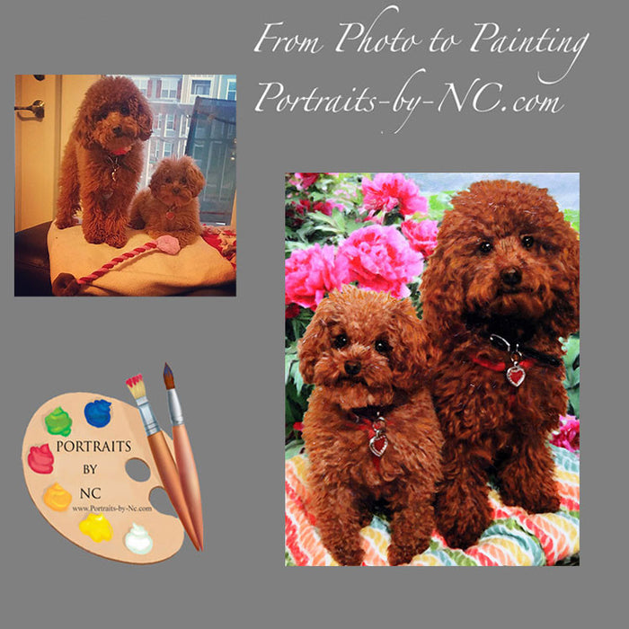 Poodle Dog Portrait from Photo 424