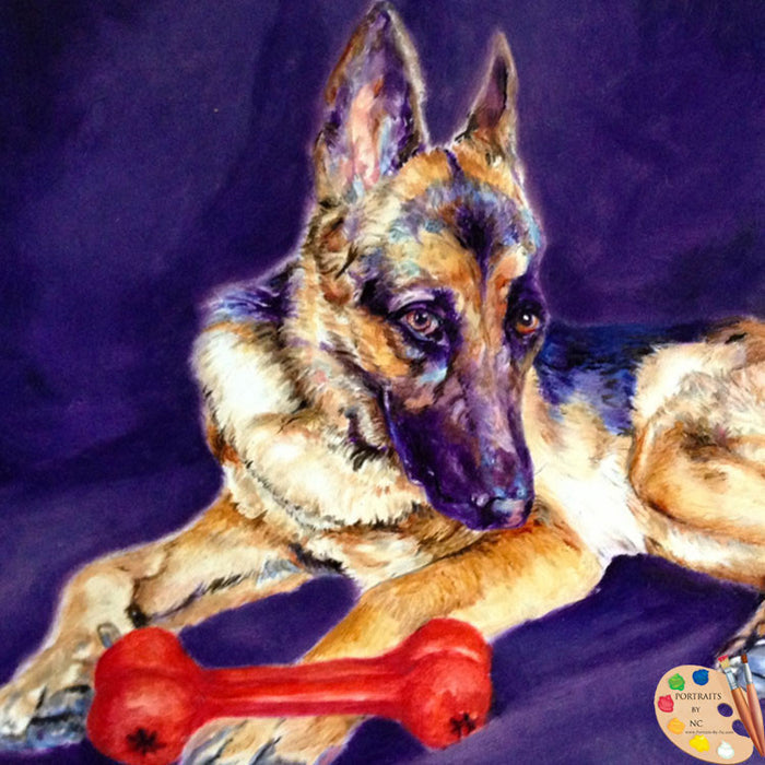 Portrait of German Shepherd 189