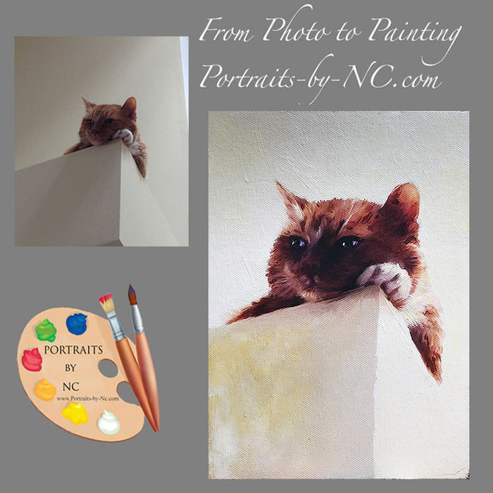 Tabby Cat Portrait from Photo 519