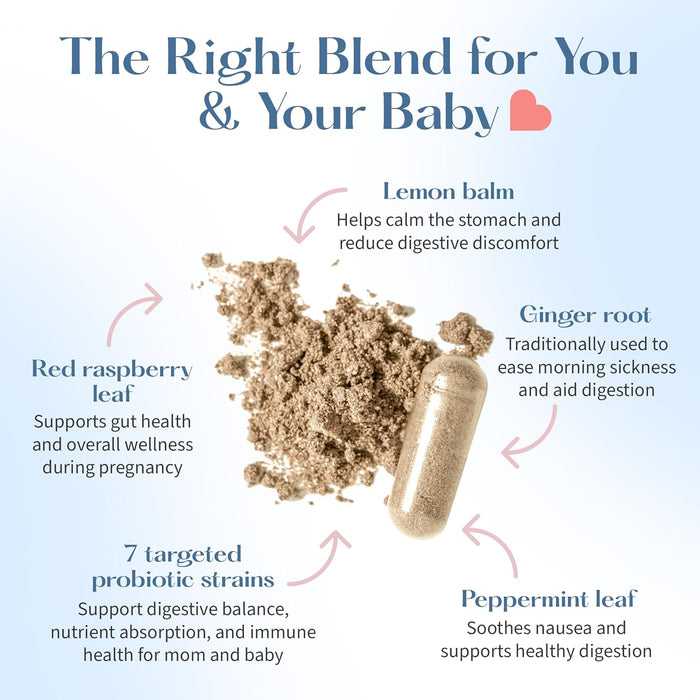 A clear capsule labeled Lovebug Prenatal Probiotic - Tummy Soothe Blend, with arrows pointing to lemon balm, ginger root, peppermint leaf, red raspberry leaf, and prenatal probiotic strains—each supporting gut health during pregnancy.
