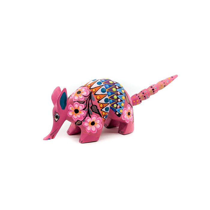 Pretty Pink Armadillo with Flowers and Spots