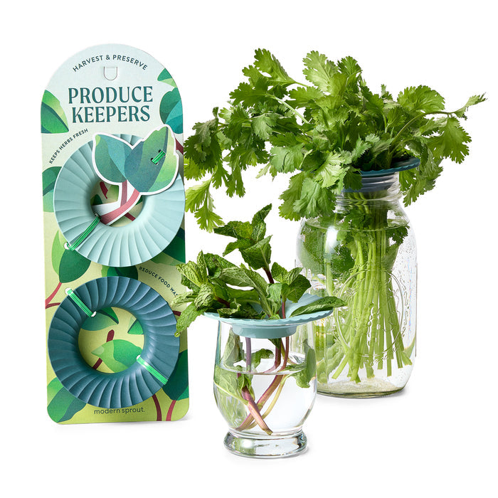 Two glass jars with fresh herbs—one cilantro, one mint—have blue silicone lids. A Produce Keepers package by Modern Sprout is beside them, offering extra flexible lids made from renewable materials to preserve herbs.