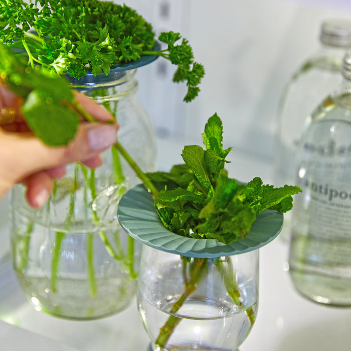 Modern Sprouts Produce Keepers store fresh herbs, such as mint and parsley, in the fridge. Theyre in water-filled containers with eco-friendly blue lids. A hand adjusts mint in a glass on the left as bottles can be seen in the background.