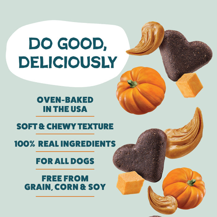 A promotional image of Shameless Pets Pumpkin Nut Par-Tay Soft-Baked Dog Treats, with pumpkins, heart-shaped treats, swirls of peanut butter, and cubes. Text: “Do Good, Deliciously. Grain-free. Oven-baked in the USA. 100% real ingredients.”.