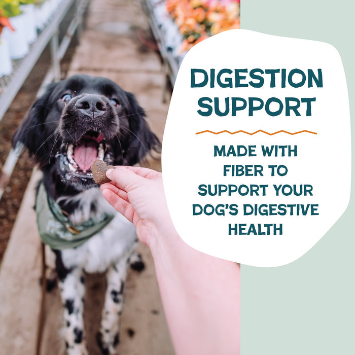 In a greenhouse, someone feeds a black and white dog Shameless Pets Pumpkin Nut Par-Tay Soft-Baked Dog Treats. Text: Digestion Support. Made with fiber and upcycled ingredients to help support your dogs digestive health.