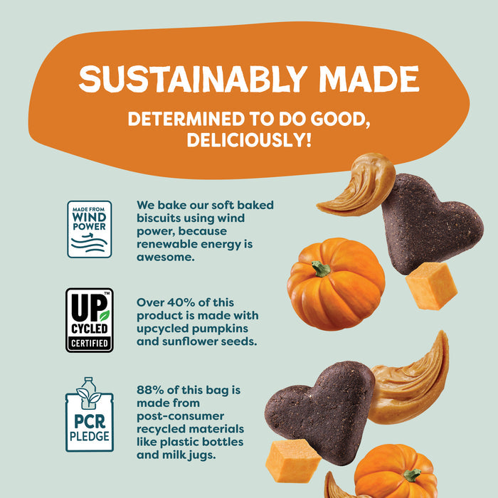 Infographic titled Sustainably Made for Shameless Pets Pumpkin Nut Par-Tay Soft-Baked Dog Treats, featuring wind power, upcycled certified, and PCR pledge icons—plus pumpkins, seeds, cheese cubes—highlighting eco-friendly, all-natural upcycled treats.