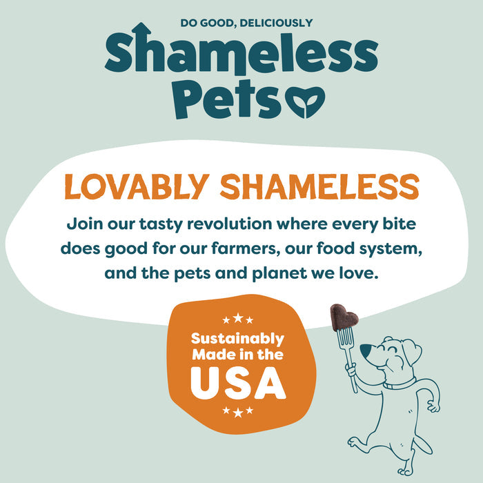 A playful dog holds a heart-shaped treat on a fork. Text promotes Shameless Pets Pumpkin Nut Par-Tay Soft-Baked Dog Treats, made in the USA with upcycled ingredients that are delicious and all-natural, benefiting pets, farmers, and the planet.