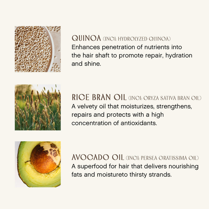 A graphic featuring three ingredients for hair care: quinoa, rice bran oil, and avocado oil. Each includes a brief description of their benefits, such as hydration, repair, and nourishment, with corresponding images of the ingredients.