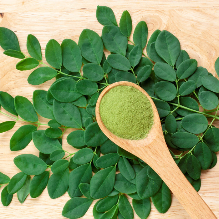 Fresh moringa leaves on a wooden surface with a spoonful of Kuli Kuli Foods Pure Moringa Organic Superfood Powder, a rich plant protein source, on top.