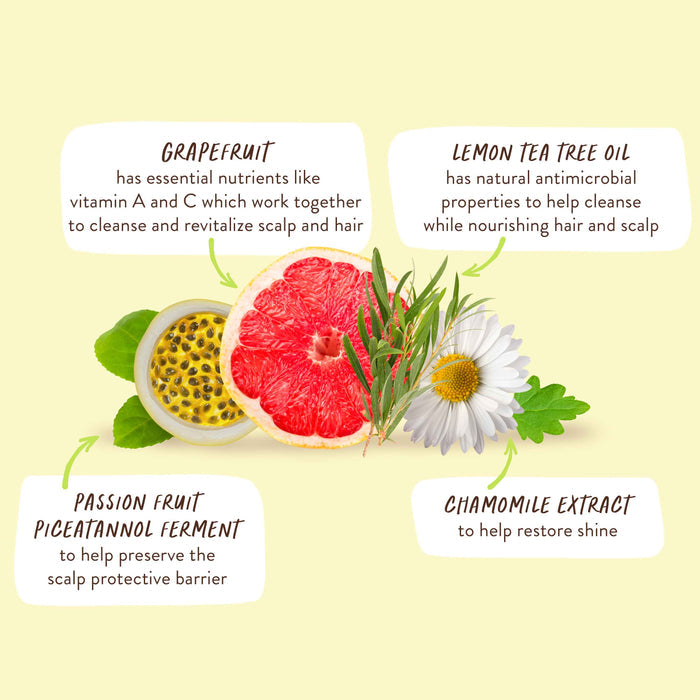 A collage of ingredients for hair care on a yellow background includes grapefruit halves, a lemon tea tree twig, a passion fruit, and a chamomile flower, each with descriptions highlighting their benefits for scalp and hair.