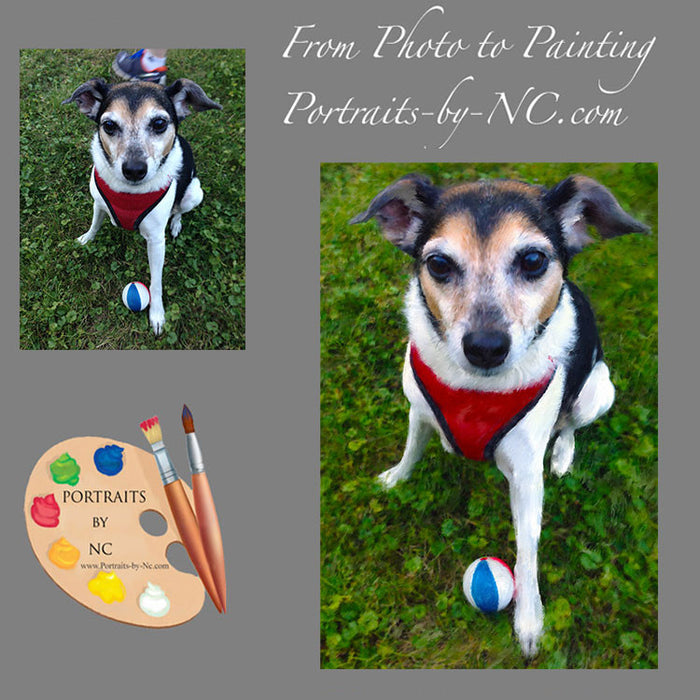 Rat Terrier Portrait from Photo 392