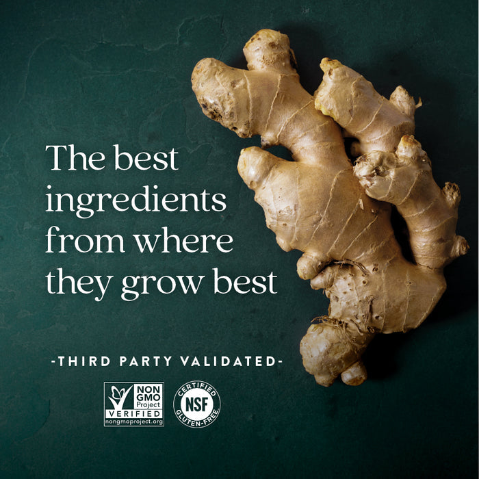 Restful Sleep and Pain Relief, Melatonin & Ginger Sleep Supplement by New Chapter on a dark green surface with text: The best ingredients from where they grow best. Non-GMO Project Verified and NSF Gluten-Free Certified logos below.